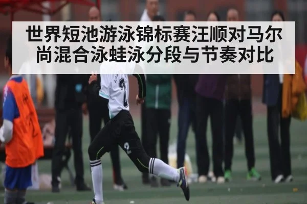 世界短池游泳锦标赛汪顺对马尔尚混合泳蛙泳分段与节奏对比